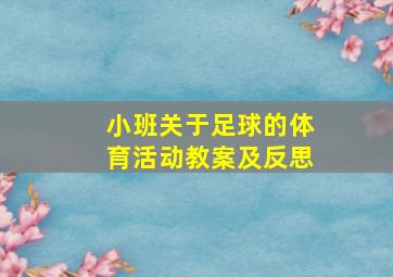 小班关于足球的体育活动教案及反思