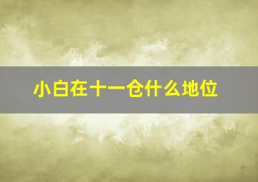 小白在十一仓什么地位