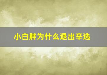 小白胖为什么退出辛选