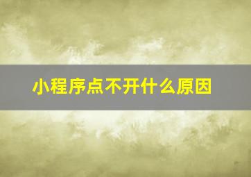 小程序点不开什么原因