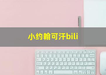 小约翰可汗bili