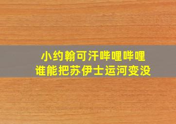 小约翰可汗哔哩哔哩谁能把苏伊士运河变没