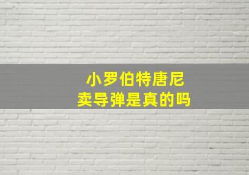 小罗伯特唐尼卖导弹是真的吗