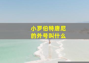 小罗伯特唐尼的外号叫什么