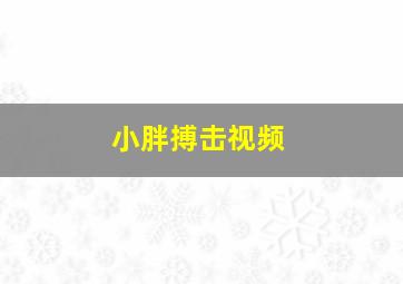 小胖搏击视频