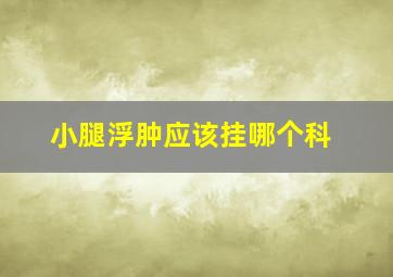 小腿浮肿应该挂哪个科