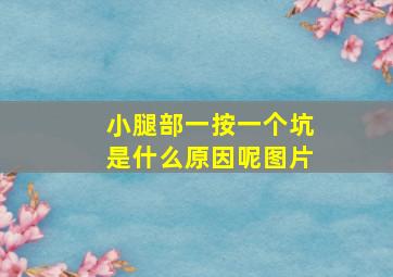 小腿部一按一个坑是什么原因呢图片