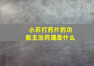 小苏打药片的功能主治药理是什么