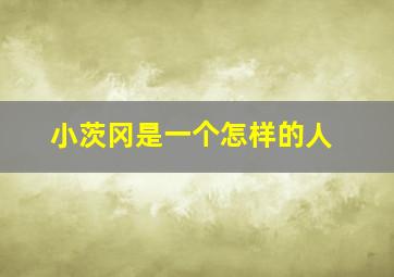 小茨冈是一个怎样的人