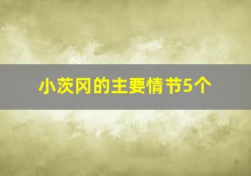 小茨冈的主要情节5个