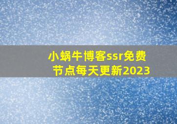 小蜗牛博客ssr免费节点每天更新2023