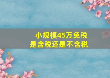 小规模45万免税是含税还是不含税