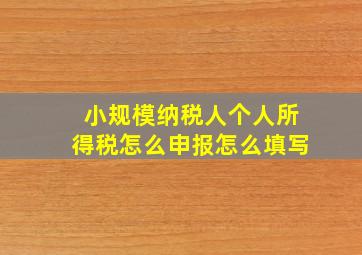 小规模纳税人个人所得税怎么申报怎么填写