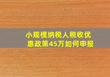 小规模纳税人税收优惠政策45万如何申报