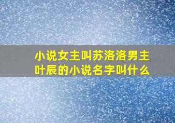 小说女主叫苏洛洛男主叶辰的小说名字叫什么