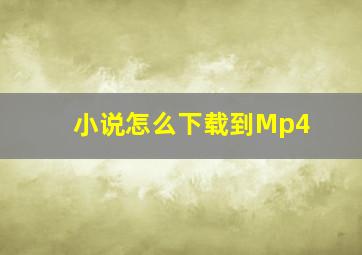 小说怎么下载到Mp4