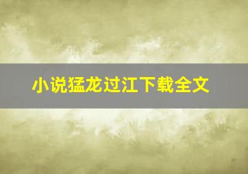 小说猛龙过江下载全文