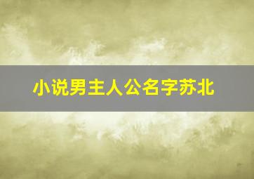 小说男主人公名字苏北