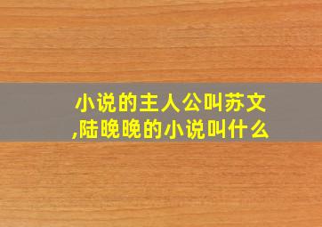 小说的主人公叫苏文,陆晚晚的小说叫什么