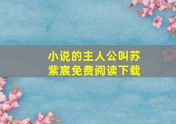 小说的主人公叫苏紫宸免费阅读下载