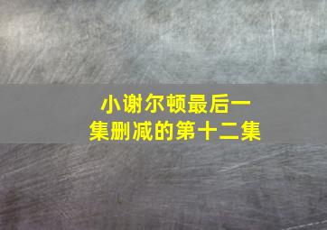 小谢尔顿最后一集删减的第十二集