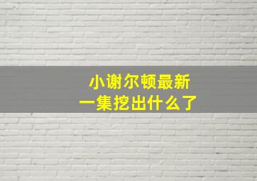 小谢尔顿最新一集挖出什么了