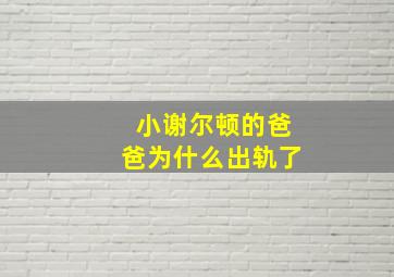 小谢尔顿的爸爸为什么出轨了