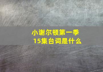 小谢尔顿第一季15集台词是什么