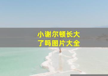 小谢尔顿长大了吗图片大全