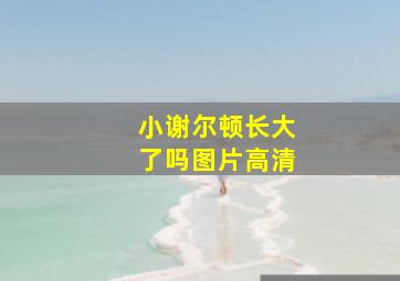 小谢尔顿长大了吗图片高清