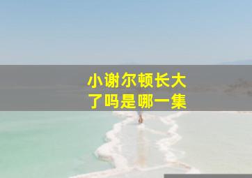 小谢尔顿长大了吗是哪一集