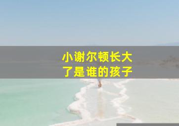 小谢尔顿长大了是谁的孩子