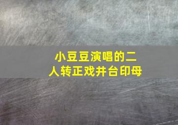 小豆豆演唱的二人转正戏井台印母