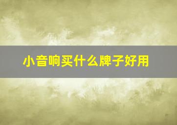 小音响买什么牌子好用