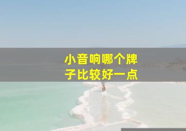 小音响哪个牌子比较好一点