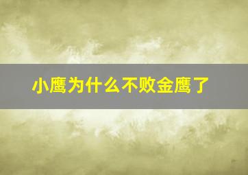 小鹰为什么不败金鹰了