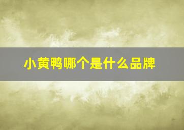 小黄鸭哪个是什么品牌