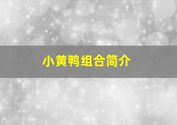 小黄鸭组合简介