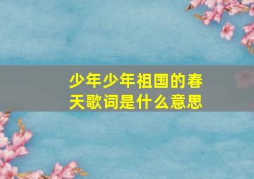 少年少年祖国的春天歌词是什么意思