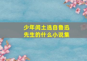 少年闰土选自鲁迅先生的什么小说集