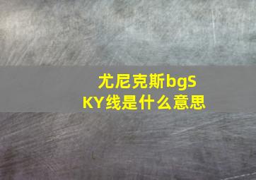 尤尼克斯bgSKY线是什么意思