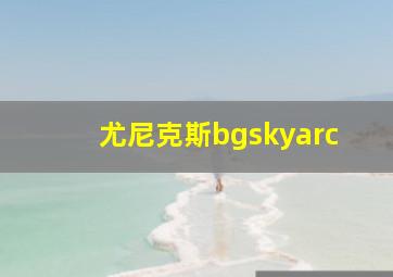 尤尼克斯bgskyarc