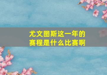 尤文图斯这一年的赛程是什么比赛啊