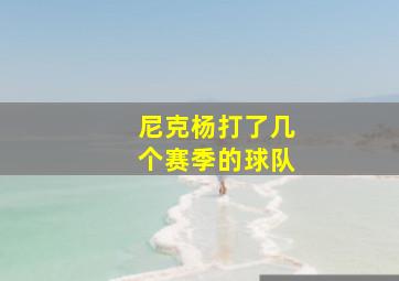 尼克杨打了几个赛季的球队