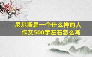 尼尔斯是一个什么样的人作文500字左右怎么写