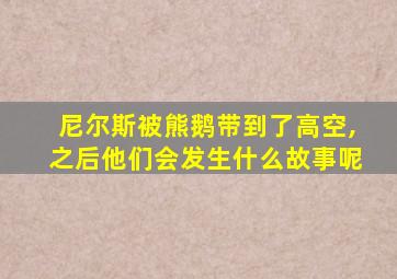 尼尔斯被熊鹅带到了高空,之后他们会发生什么故事呢