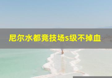 尼尔水都竞技场s级不掉血