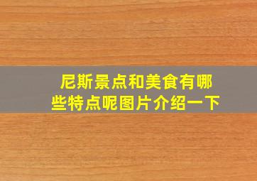 尼斯景点和美食有哪些特点呢图片介绍一下