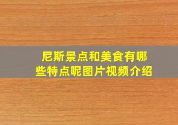 尼斯景点和美食有哪些特点呢图片视频介绍