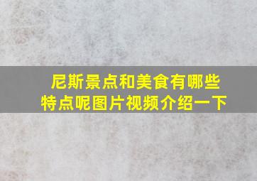 尼斯景点和美食有哪些特点呢图片视频介绍一下